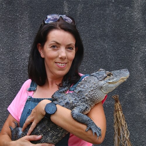 Crocodile Encounters - Meets the Crocs, Reptiles & Snakes in Bristol Crocodile Encounters - Meets the Crocs, Reptiles & Snakes in Bristol